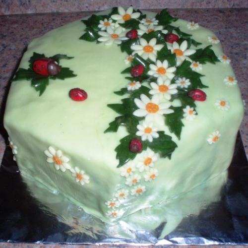 torta s lienkami