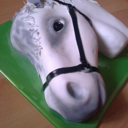 konik 