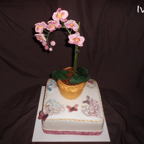 Orchidea