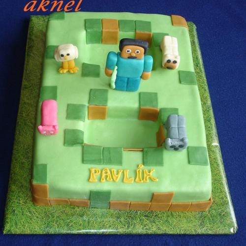Minecraft hra 8