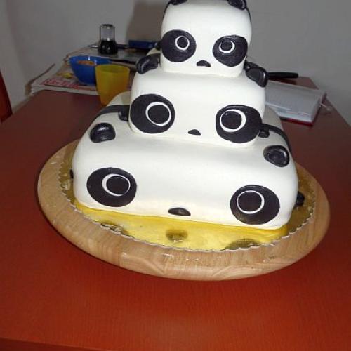 Panda moderny...