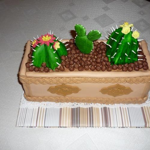pre zberatela kaktusov -pre vnuka k 19-tke