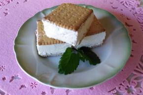 Domáca ruská zmrzlina, recept, Oľga Birošová