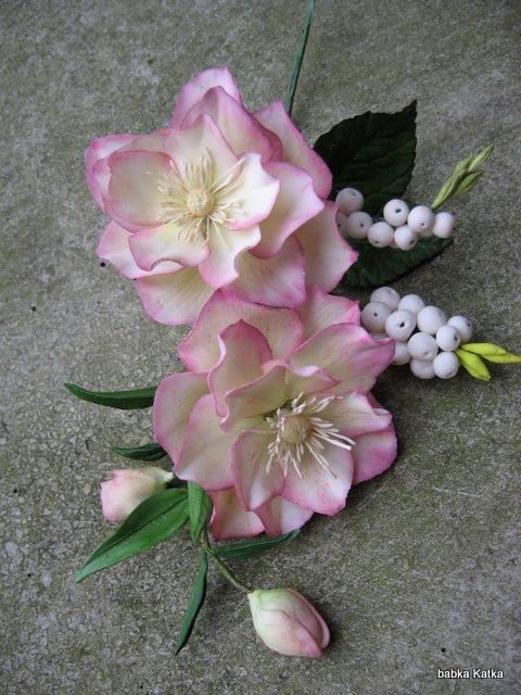 Helleborus orientalis double, torta, Ozdoby na torty Helleborus orientalis double, torta, Ozdoby na torty, babka Katka, 1