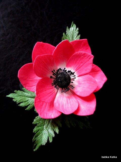 Anemone, torta, Ozdoby na torty Anemone, torta, Ozdoby na torty, babka Katka, 1