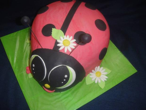 lienka, torta, Torty so zvieratkami, zukatomeka, 1