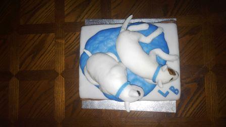 bullteriériky, torta, Netradičné torty, Paulína1980, 1