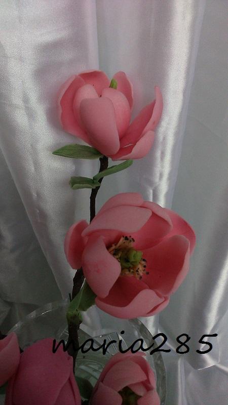 moje prvé magnolie, torta, Ozdoby na torty moje prvé magnolie, torta, Ozdoby na torty, maria285, 2