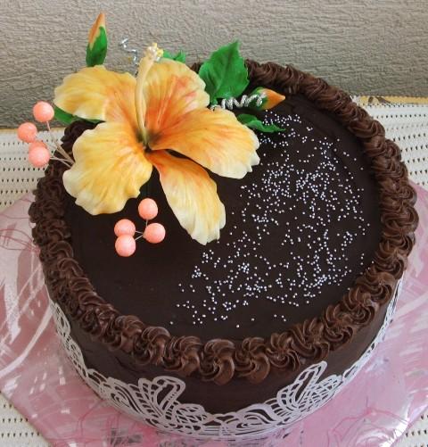 Čokoládová klasika, torta, Narodeninové torty, atigram, 1