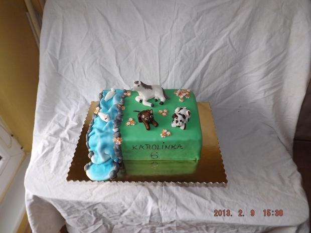 torta farma, torta, Torty so zvieratkami, tortyOdZuzu, 1