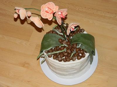 Orchidea v črepníku, torta, Narodeninové torty Orchidea v črepníku, torta, Narodeninové torty, zurka75, 1