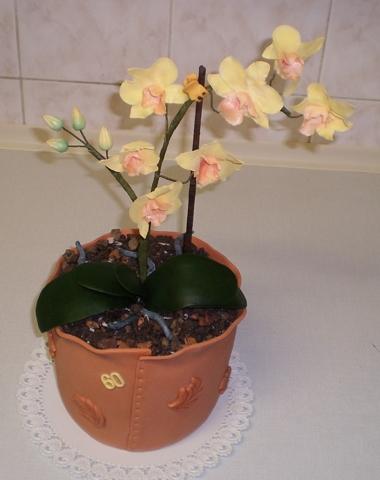 orchidea v kvetináči, torta, Narodeninové torty orchidea v kvetináči, torta, Narodeninové torty, zuzickag, 1