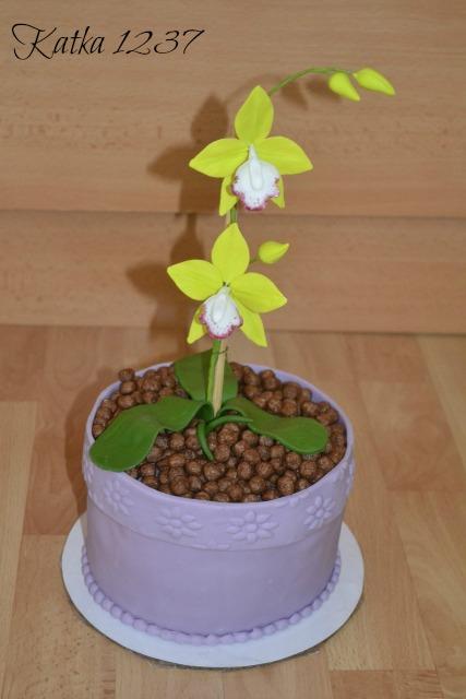 narodeninová, torta, Narodeninové torty narodeninová, torta, Narodeninové torty, katka1237, 1