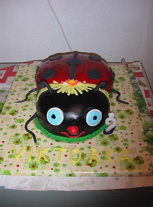 lienka, torta, Torty so zvieratkami lienka, torta, Torty so zvieratkami, susana11, 1