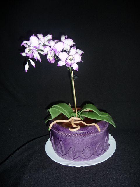 Orchidea, torta, Narodeninové torty Orchidea, torta, Narodeninové torty, jasama, 1