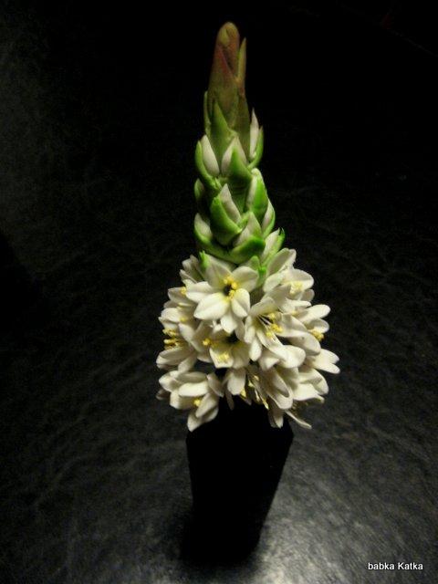 Ornithogalum, torta, Ozdoby na torty Ornithogalum, torta, Ozdoby na torty, babka Katka, 1