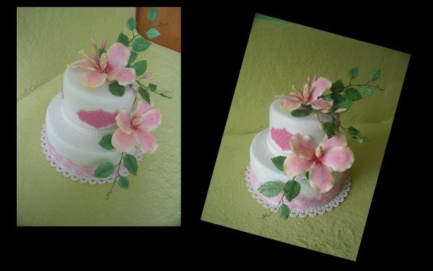 narodky, torta, Narodeninové torty narodky, torta, Narodeninové torty, anka999, 1