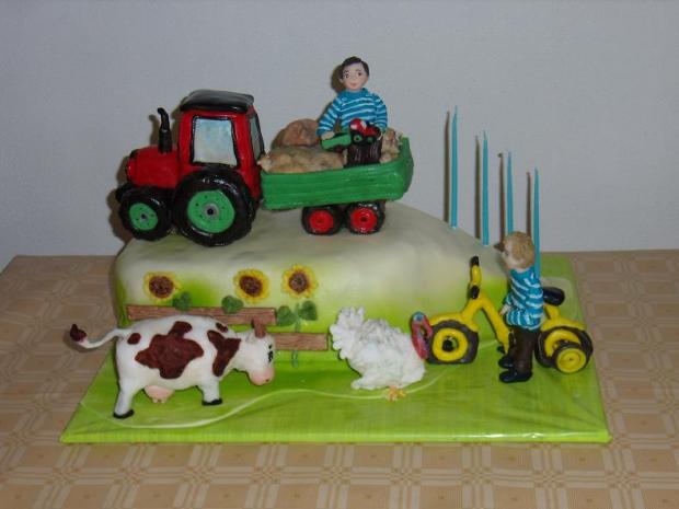 Dvojčatá a "gazdovstvo", torta, Torty autíčka, vláčiky Dvojčatá a "gazdovstvo", torta, Torty autíčka, vláčiky, mariaJ, 1