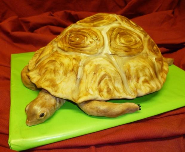 Korytnačka , torta, Torty so zvieratkami Korytnačka , torta, Torty so zvieratkami, Anca.B, 1