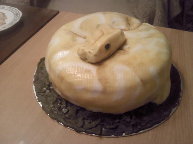 Pytón, torta, Netradičné torty, Neffi85, 1