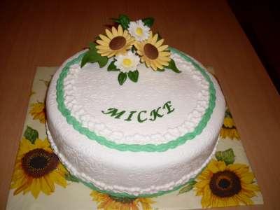PRE MICKU, torta, Narodeninové torty PRE MICKU, torta, Narodeninové torty, Mária Vašová, 1
