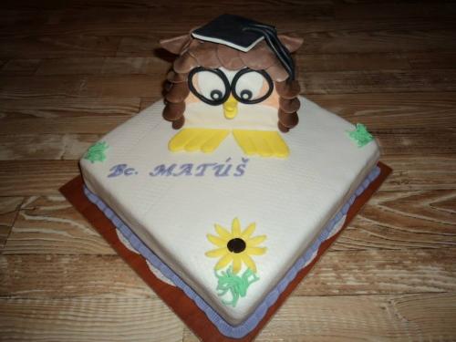Promócie, torta, Torty - škola, stužková, Iffka, 1