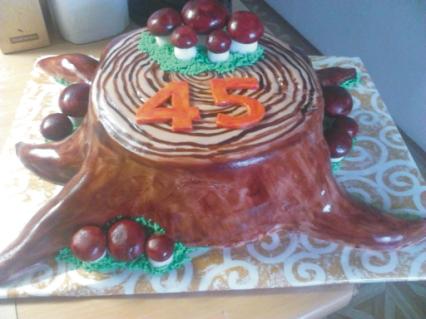 Peň stromu s hríbikmi, torta, Narodeninové torty, lucia.blahova, 1