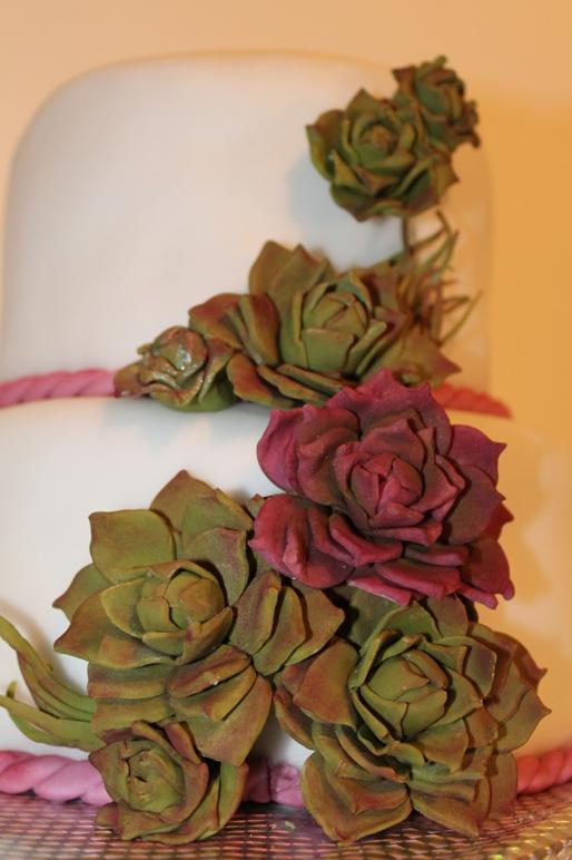 Sukulenty, torta, Narodeninové torty Sukulenty, torta, Narodeninové torty, stella01, 1