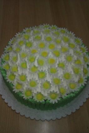 k meninám, torta, Narodeninové torty, ivana11, 1