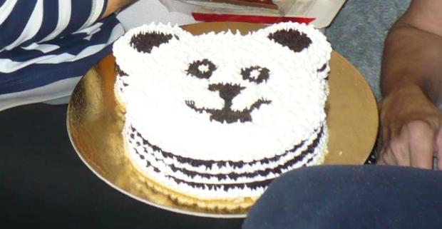 Penová torta Macko malý, torta, Ostané torty pre deti, Alu123, 1