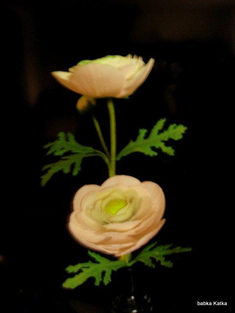 Ranunculus, torta, Ozdoby na torty Ranunculus, torta, Ozdoby na torty, babka Katka, 1
