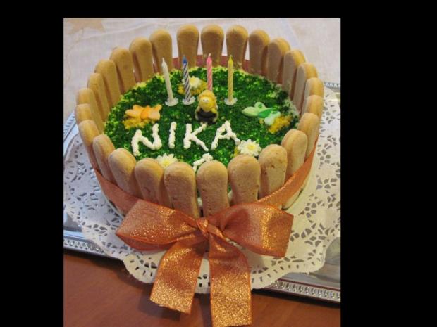 Narodeninova, torta, Ostané torty pre deti, Janka T., 1