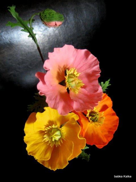 Papaver nudicaule, torta, Ozdoby na torty Papaver nudicaule, torta, Ozdoby na torty, babka Katka, 1