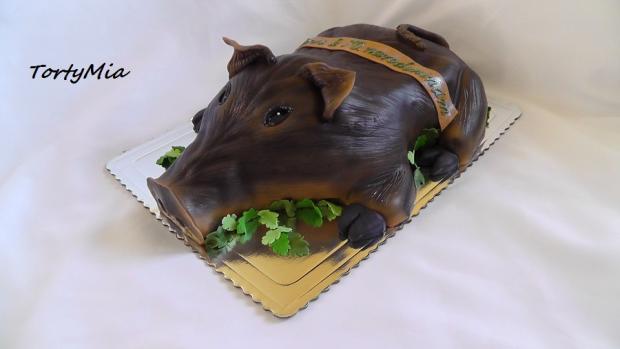 Diviak, torta, Narodeninové torty, TortyMia, 1