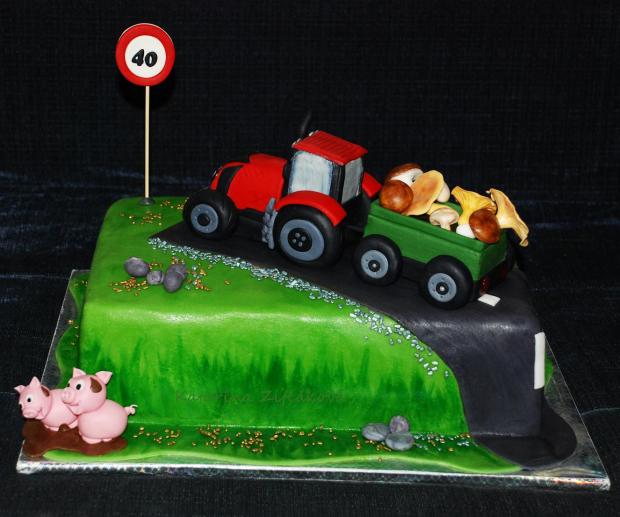 traktor na torte, torta, Narodeninové torty, Katarina139, 1