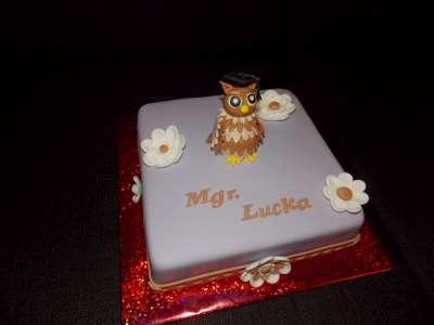 Promočná, torta, Torty - škola, stužková, katarina79, 1