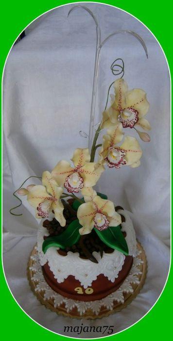 orchidea v črepníku, torta, Narodeninové torty orchidea v črepníku, torta, Narodeninové torty, majana75, 1