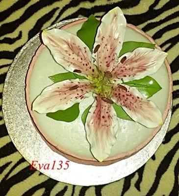 Tortička pre nás len tak pre potešenie , torta, Narodeninové torty Tortička pre nás len tak pre potešenie , torta, Narodeninové torty, Eva135, 1