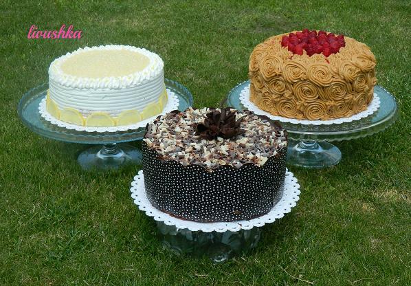 trio na garden party , torta, Čokoládové torty trio na garden party , torta, Čokoládové torty, livushka, 1
