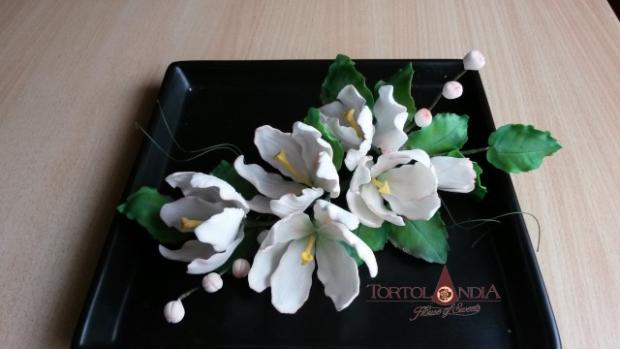 Kytica bielo-marhuľových tulipánov, torta, Ozdoby na torty, Tortolandia.sk, 1