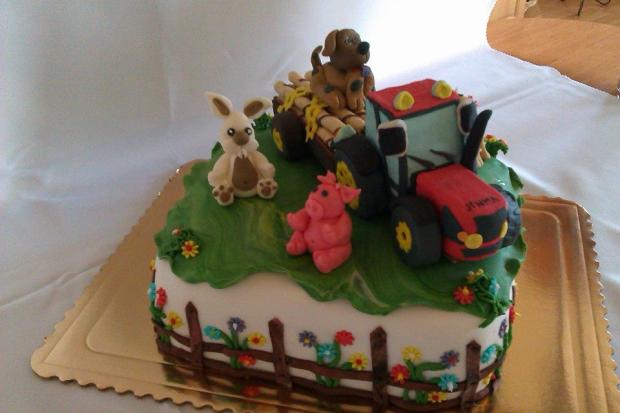 Torta - zvieratká a traktor, torta, Torty so zvieratkami Torta - zvieratká a traktor, torta, Torty so zvieratkami, Marta Majernickova, 1