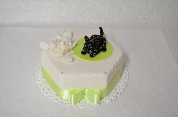 s kocúrom, torta, Narodeninové torty, Denisa8, 1