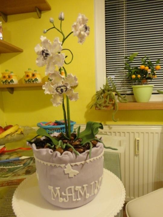 Orchidea, torta, Narodeninové torty, Mimi nitra, 1