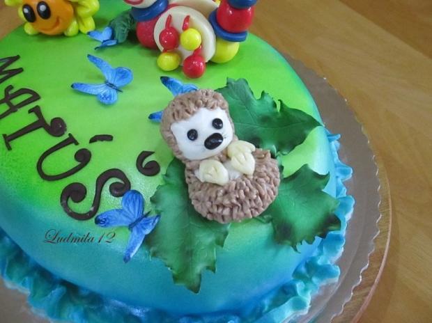 detail na ježka , torta, Ozdoby na torty detail na ježka , torta, Ozdoby na torty, ludmila12, 1