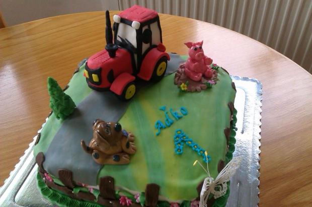 Zvieratká a traktor, torta, Torty autíčka, vláčiky, Marta Majernickova, 1