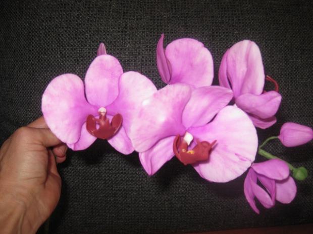 Orchidej, foceno bez květináče, torta, Ozdoby na torty Orchidej, foceno bez květináče, torta, Ozdoby na torty, monceb, 1