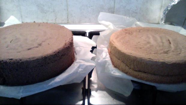 "seknuty" korupus, torta, pre články, zuzuz1, 1
