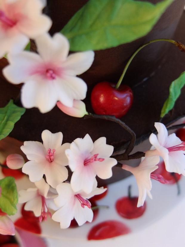 Čerešničky, čerešničky, čerešne..., torta, Narodeninové torty Čerešničky, čerešničky, čerešne..., torta, Narodeninové torty, SWEETarchitect, 5