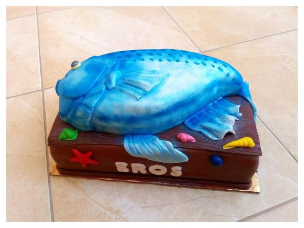 Rybka, torta, Narodeninové torty, dakota14, 1