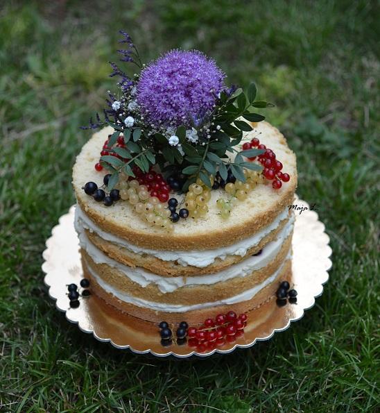 nahá torta, torta, Narodeninové torty nahá torta, torta, Narodeninové torty, mayaL30, 1